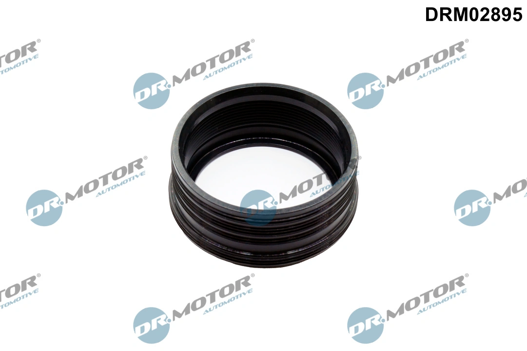 Seal Ring, charger